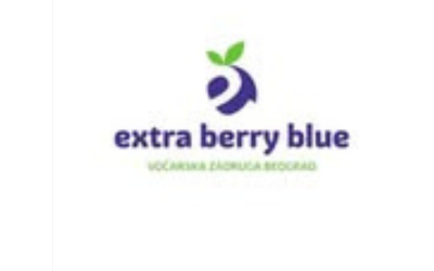 extra berry blue klijent